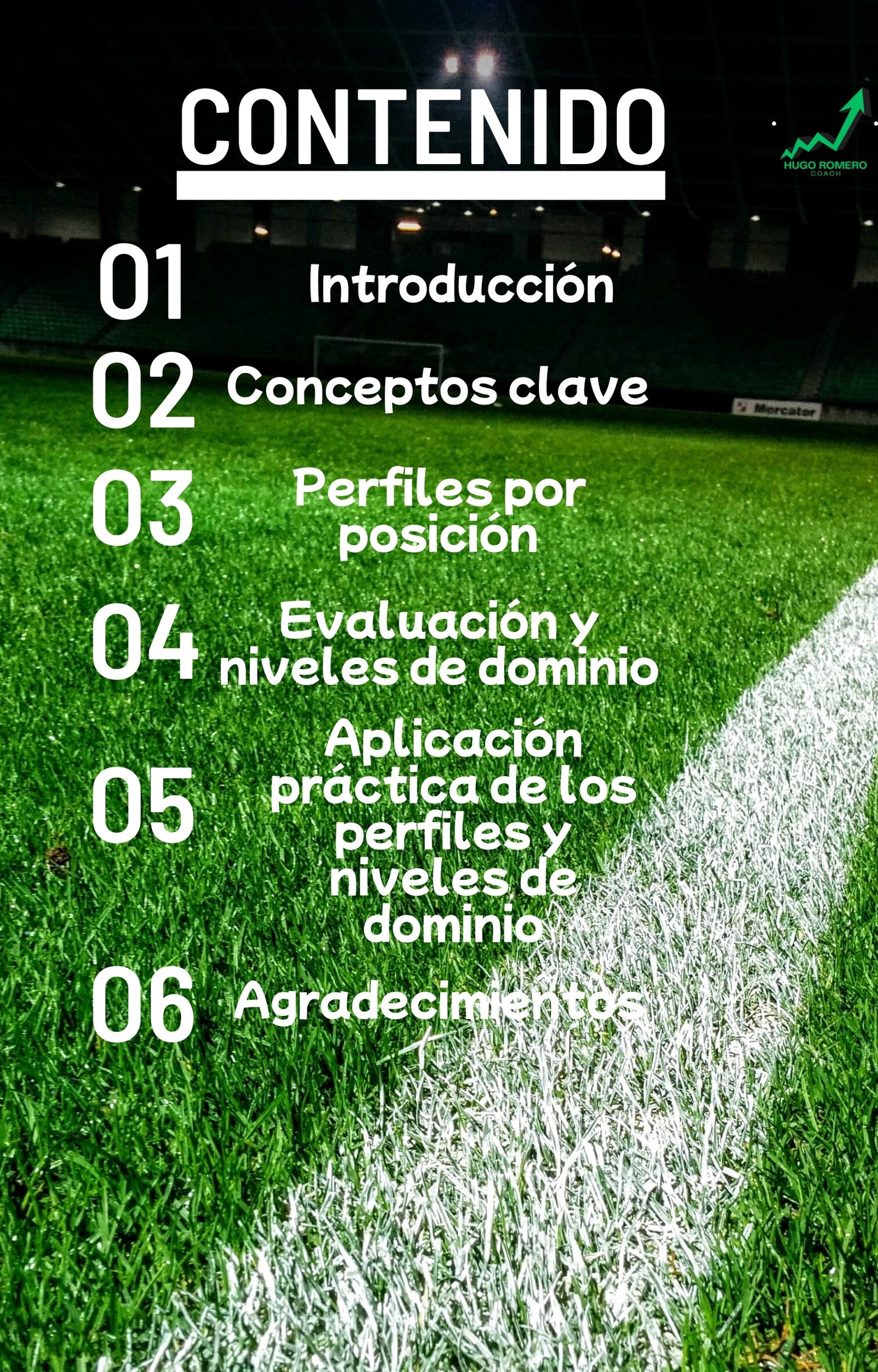 Perfiles de Posiciones en Fútbol: Guía para entender y mejorar tu juego
