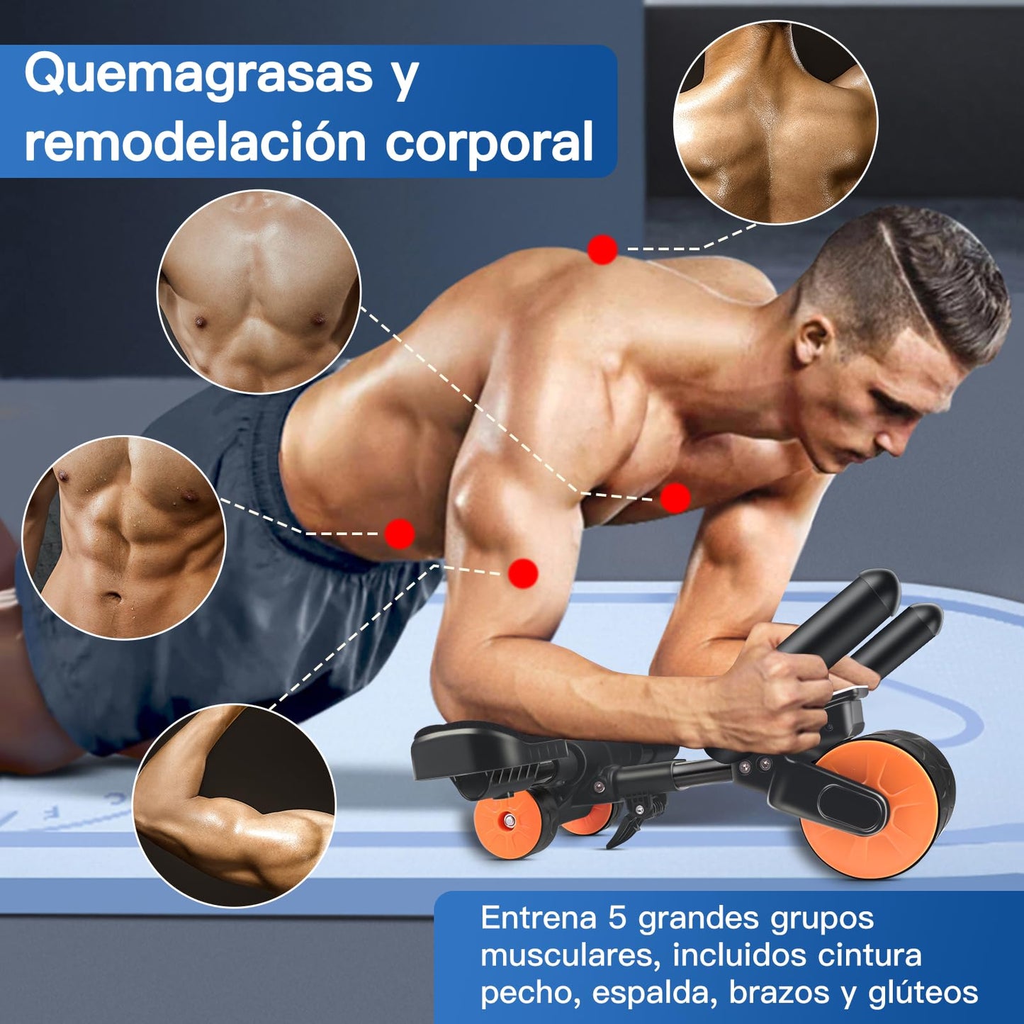 Bnlei Rueda Abdominale con Soporte de Codo y Rebote Automático【Tres Ruedas】Rodillo Abdominales Soporte Entrenamiento Absculpt, Maquina de Abdominales en Casa Gym Hombr y Mujer