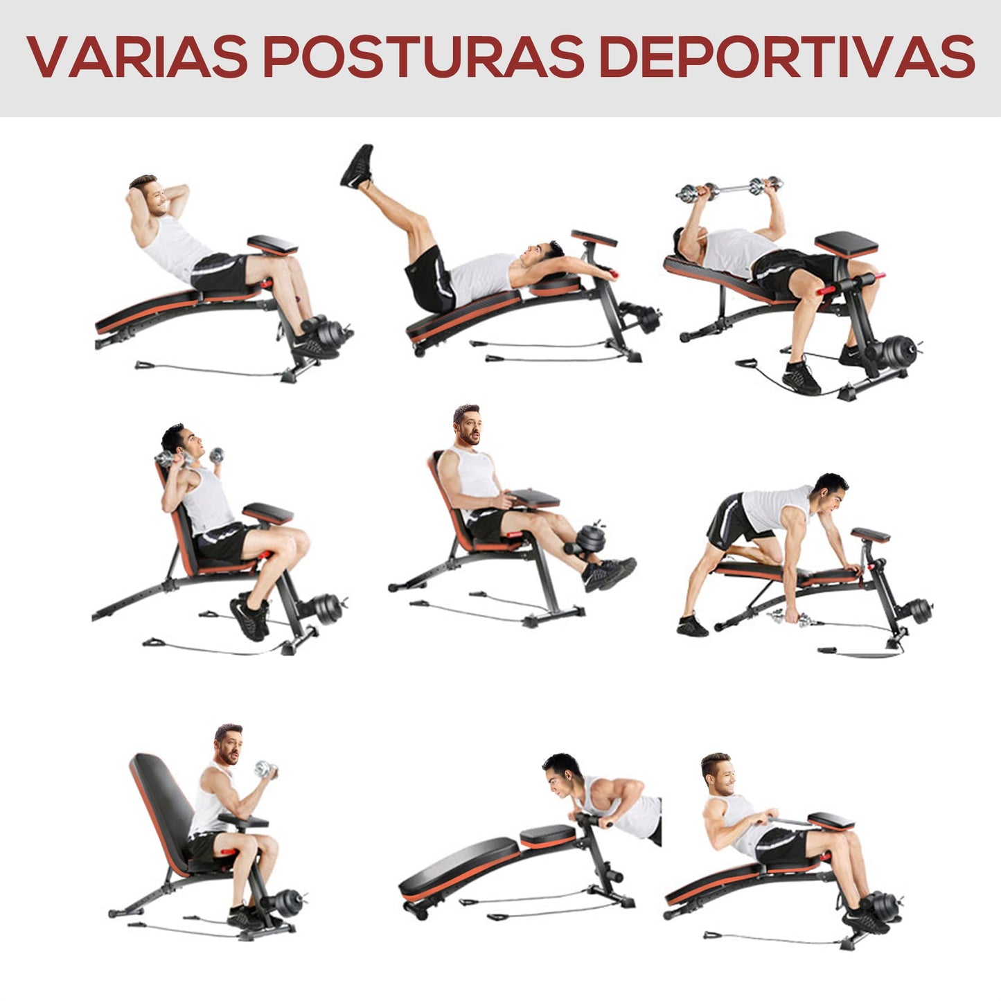 HOMCOM Banco de Pesas Banco de Musculación Respaldo Inclinable de 7 Niveles y Extensión de Pierna Cojín de Predicador y Banda de Resistencia para Entrenamiento Completo Gimnasia en Casa