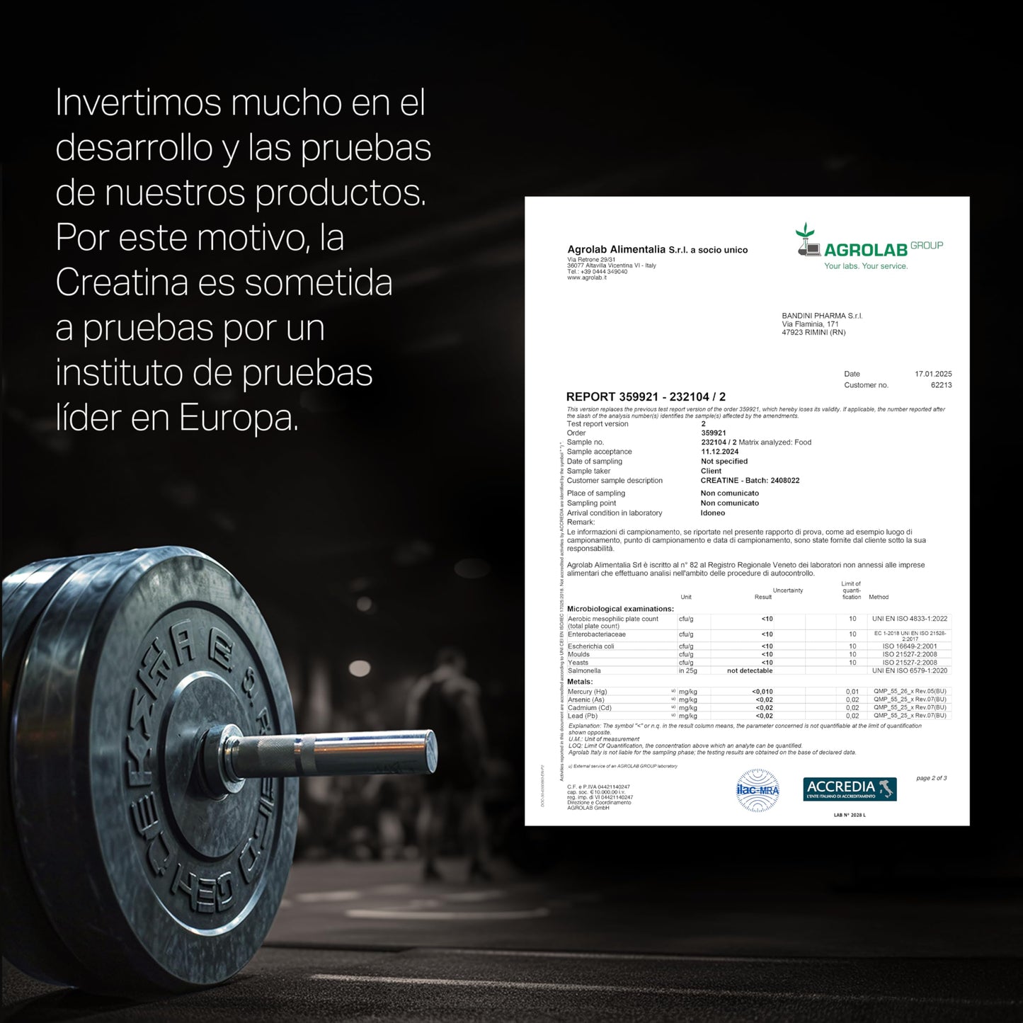 Bandini® Creatina Monohidratada en Polvo 1kg/1000g Pura - Para mejorar el Rendimiento y la Potencia Muscular - A base de Monohidrato de Creatina - Suplemento sin aditivos - 100% vegano