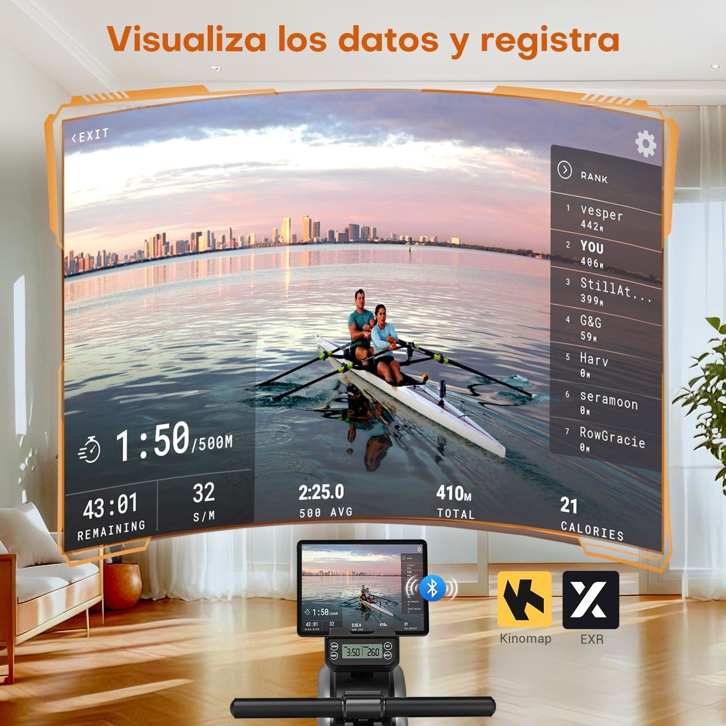 DMASUN Máquina de remo magnética, 16 niveles de resistencia, máquina de remo profesional para casa, dobles guías correderas de aleación mejoradas, compatibles con APP y capacidad de carga máxima de
