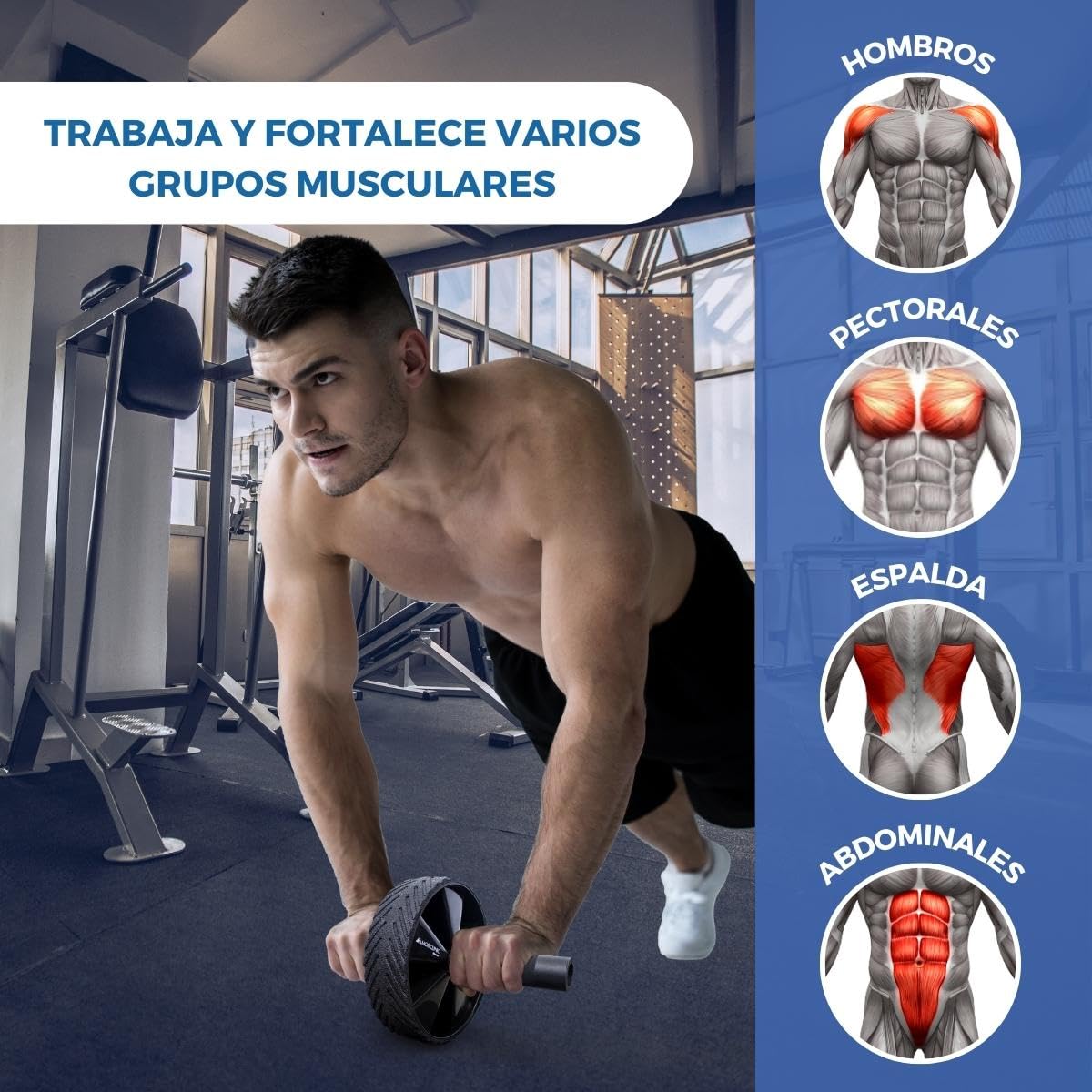 Mobiclinic, Rodillo para abdominales, Alfombrilla incluida, Set ejercitar, Marca española, Carga máxima de 150 kg, Entrenamiento en casa, Rueda abdominal, Flexiones